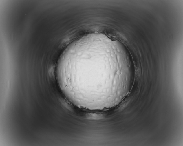 X0000086330286200704202047