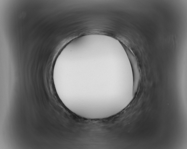 X0000086330289200704202047