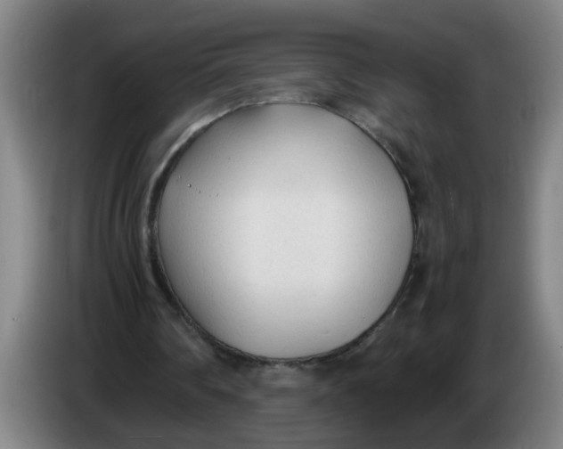 X0000086330290200704202047