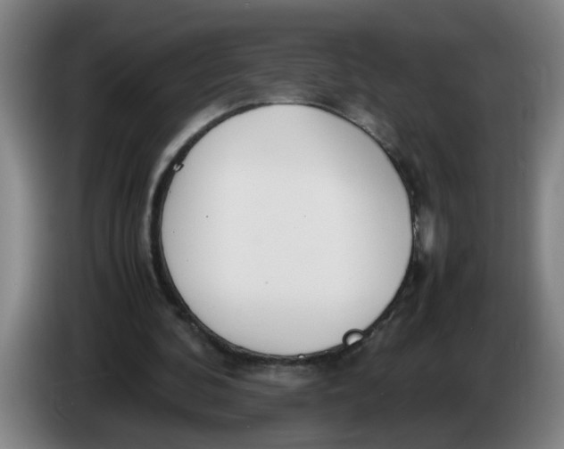 X0000086330292200704202047