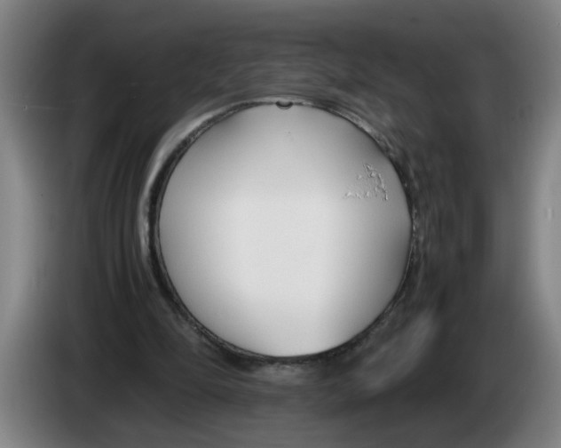 X0000086330294200704202047