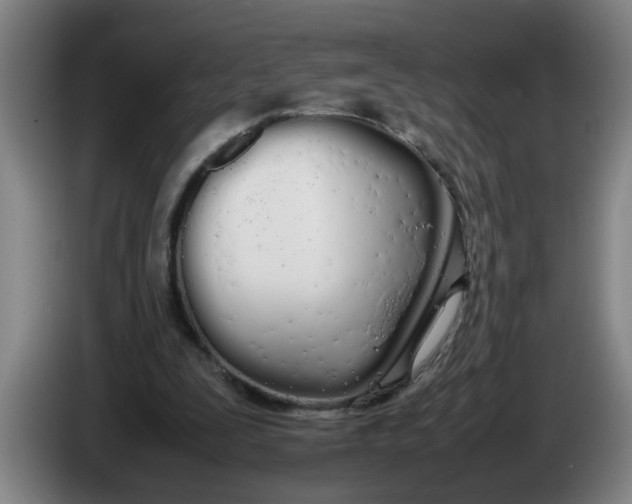 X0000086330295200704202047