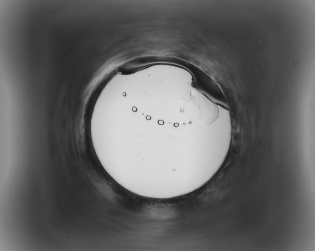 X0000086330296200704202047