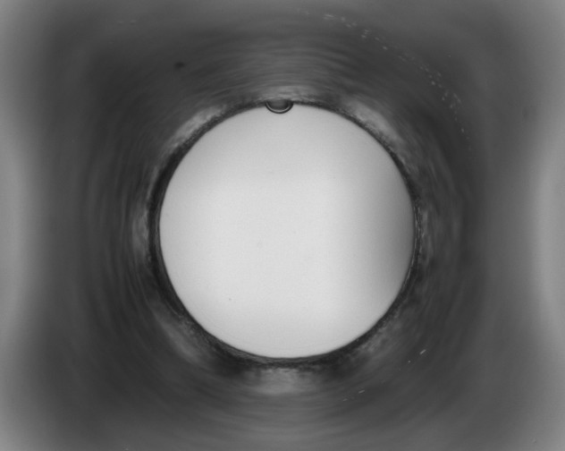 X0000086330298200704202047