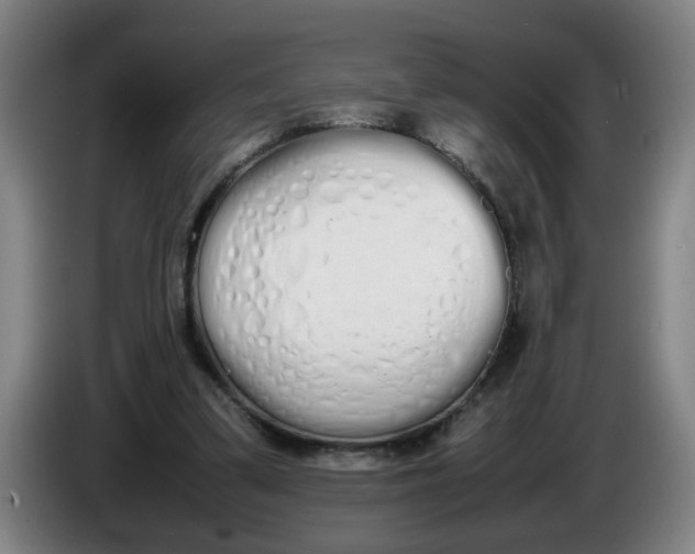 X0000086330299200704202047