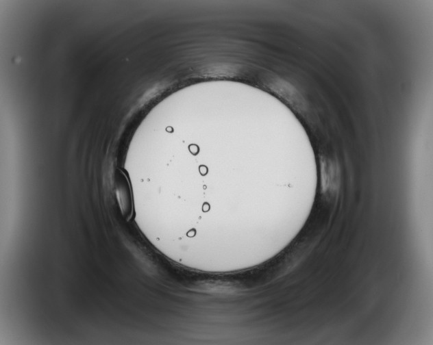 X0000086330300200704202047