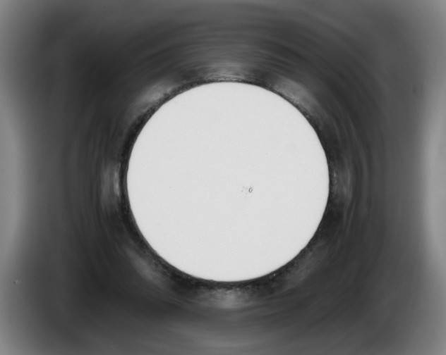 X0000086330302200704202047