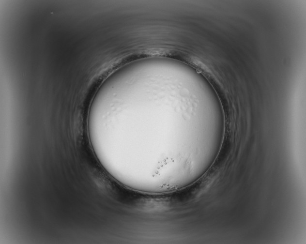 X0000086330303200704202047