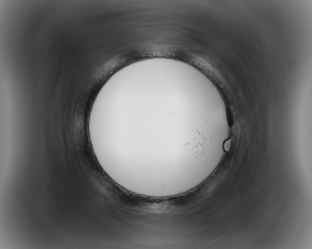 X0000086330306200704202047