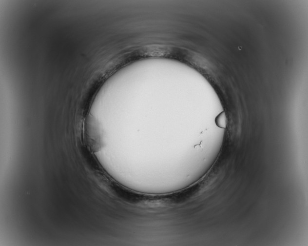 X0000086330307200704202047