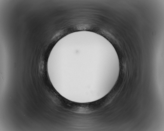 X0000086330308200704202047