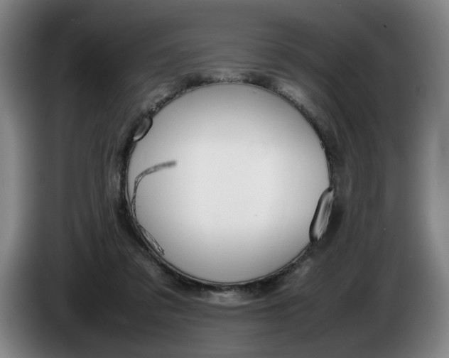 X0000086330309200704202047