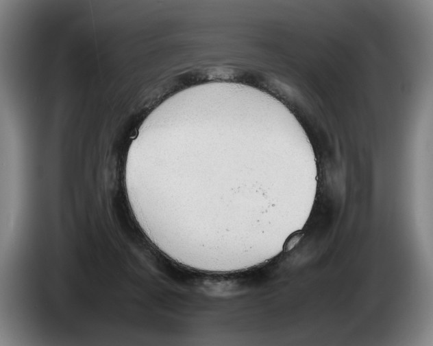 X0000086330311200704202047