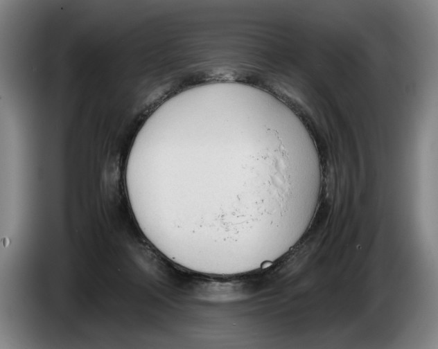 X0000086330314200704202047