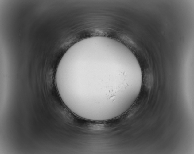 X0000086330318200704202046