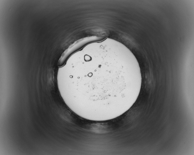 X0000086330320200704202046