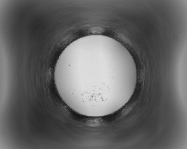 X0000086330321200704202046