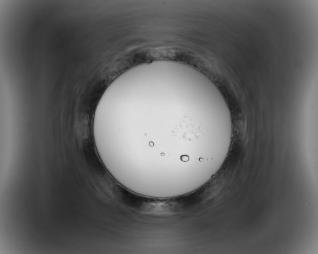 X0000086330323200704202046