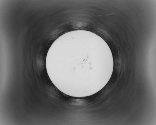 X0000086330324200704202046