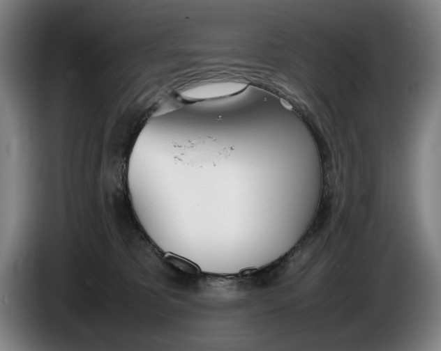 X0000086330325200704202046