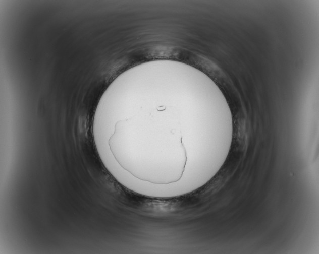 X0000086330326200704202046