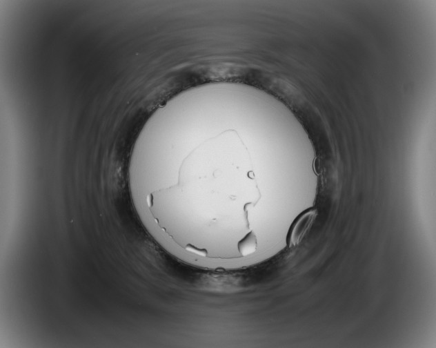 X0000086330327200704202046