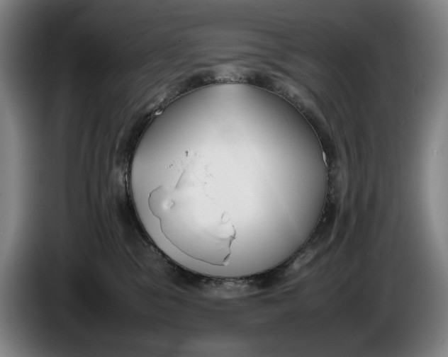 X0000086330329200704202046