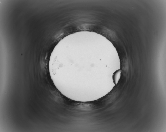 X0000086330332200704202046