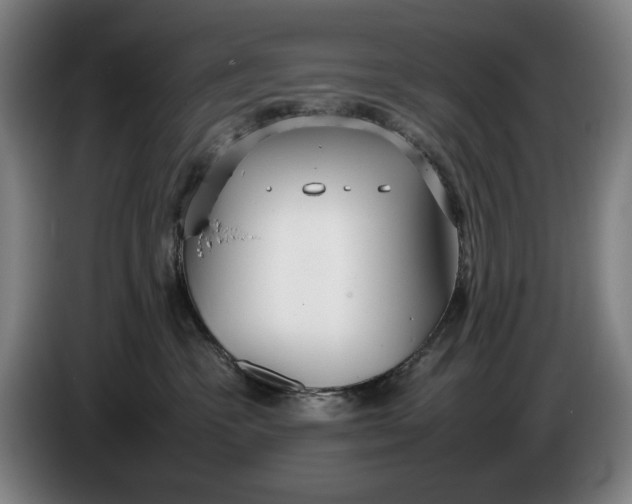 X0000086330333200704202046