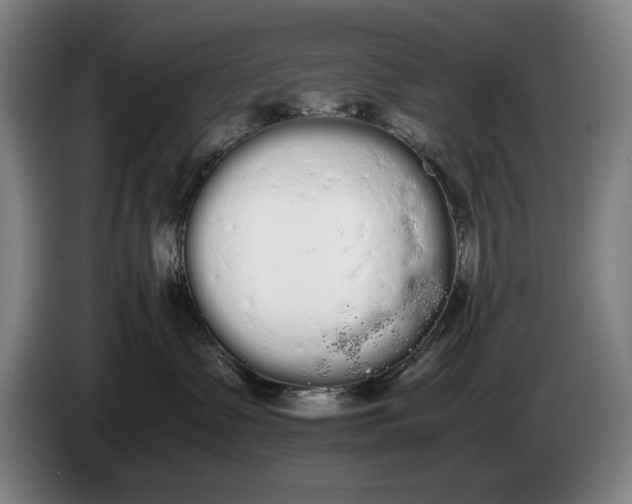 X0000086330335200704202046