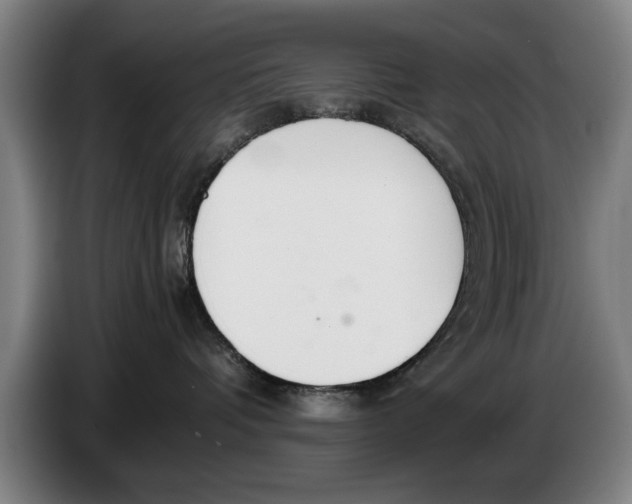 X0000086330336200704202046