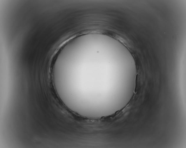 X0000086330338200704202046