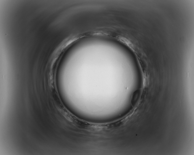 X0000086330339200704202046