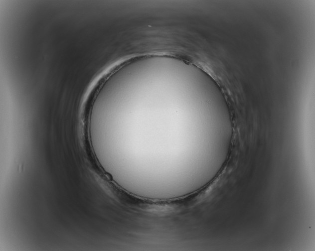 X0000086330342200704202046