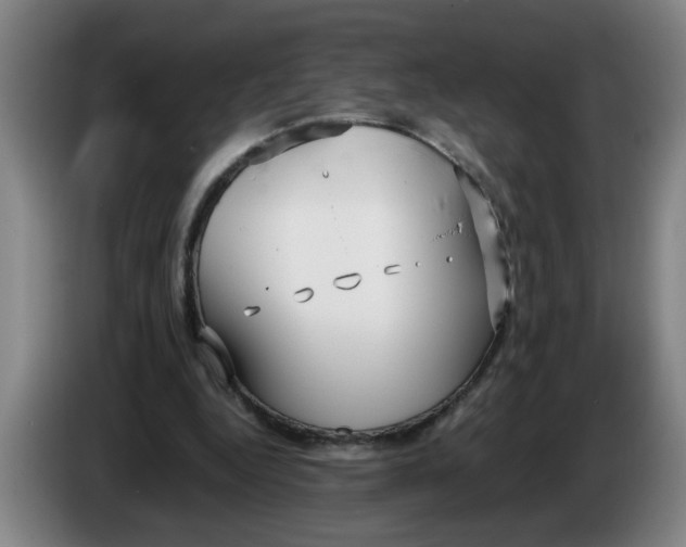 X0000086330344200704202046