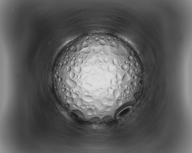 X0000086330345200704202046