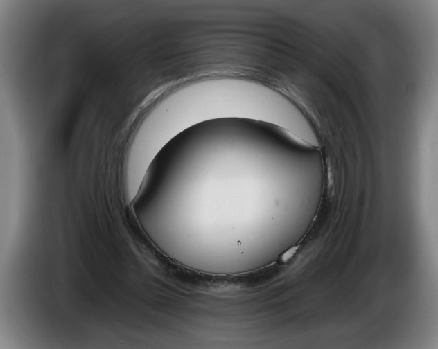 X0000086330348200704202046