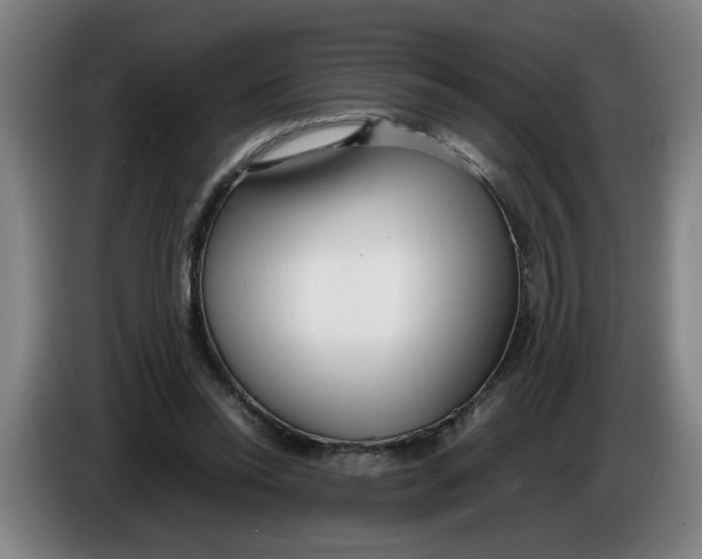 X0000086330350200704202046