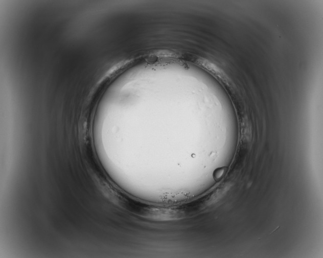 X0000086330351200704202046