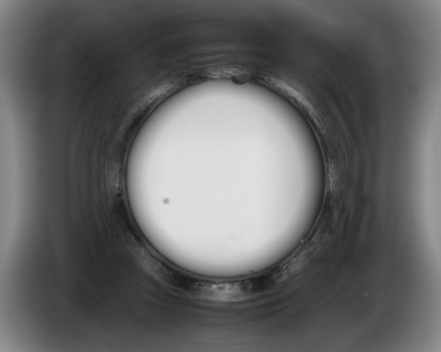 X0000086330353200704202046