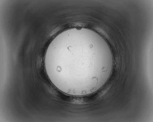 X0000086330355200704202046