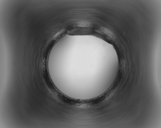 X0000086330356200704202046