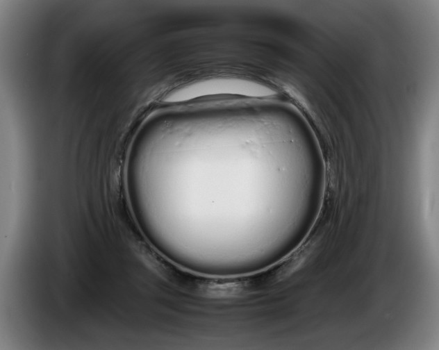 X0000086330357200704202046