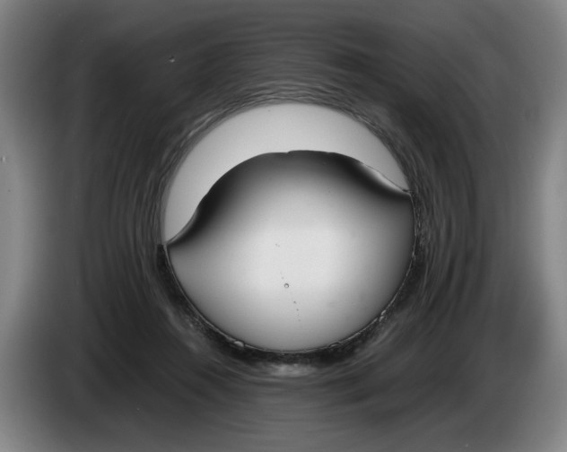 X0000086330360200704202046