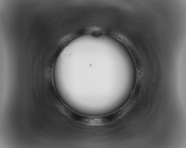 X0000086330361200704202046