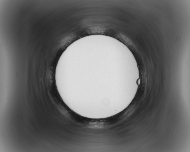 X0000086330362200704202046