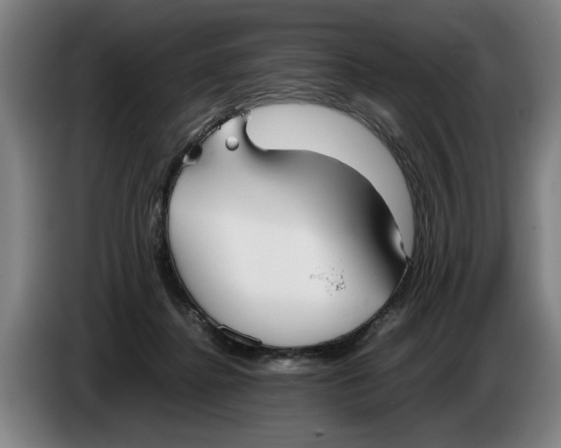 X0000086330364200704202046