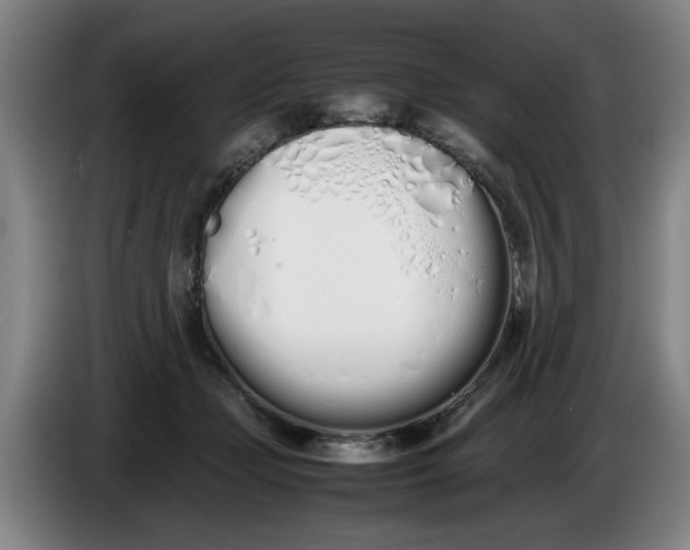 X0000086330365200704202046