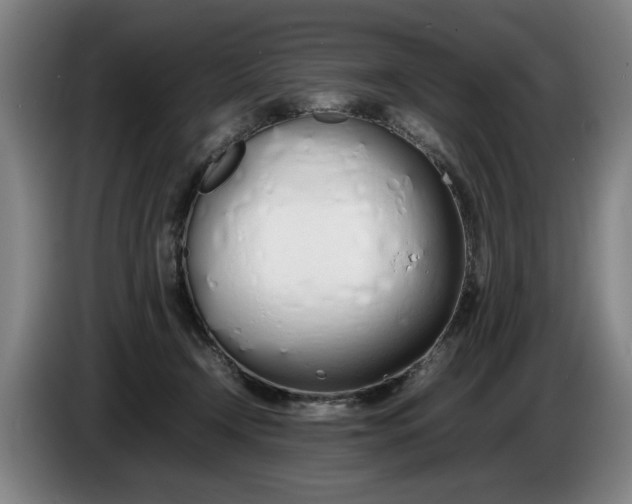 X0000086330366200704202046