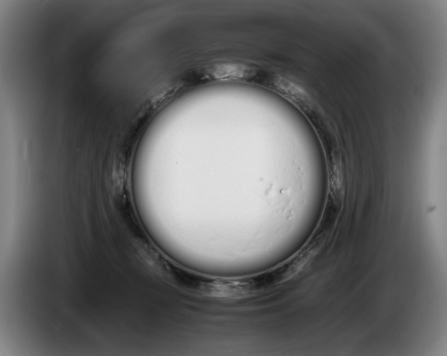 X0000086330367200704202046